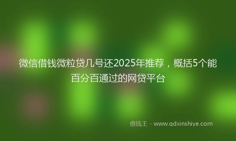 微信借钱微粒贷几号还2025年推荐，概括5个能百分百通过的网贷平台