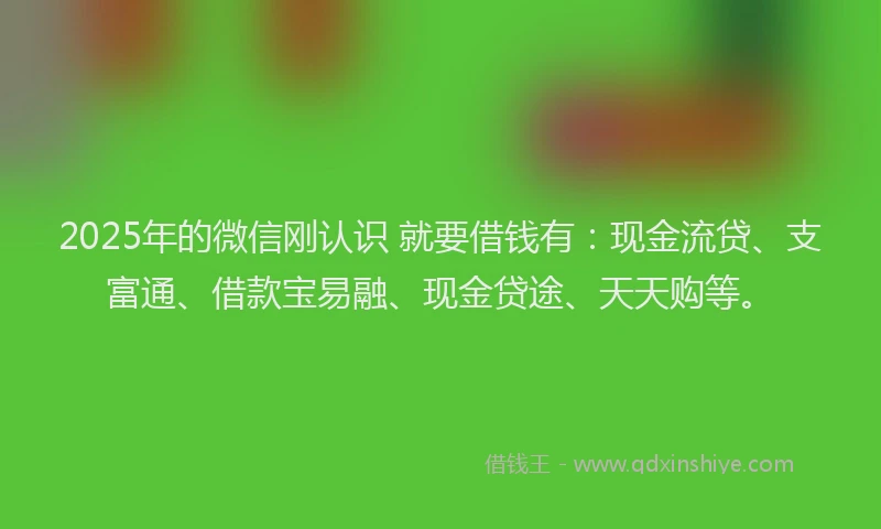 2025年的微信刚认识 就要借钱有：现金流贷、支富通、借款宝易融、现金贷途、天天购等。