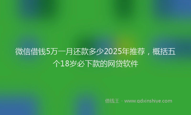 微信借钱5万一月还款多少2025年推荐，概括五个18岁必下款的网贷软件