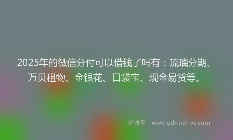 2025年的微信分付可以借钱了吗有：琉璃分期、万贝租物、金银花、口袋宝、现金易贷等。