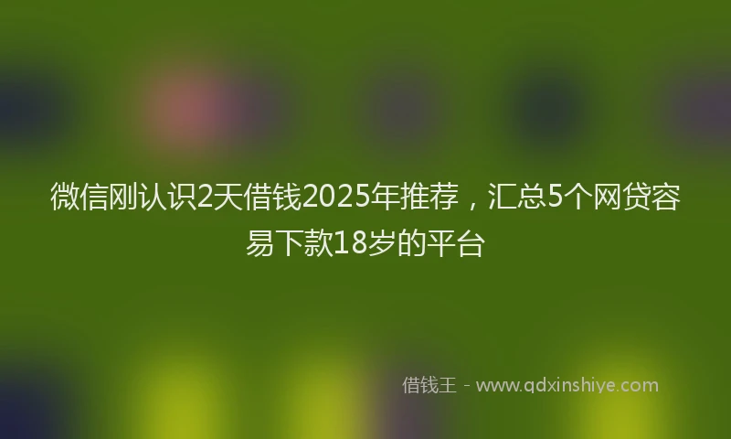微信刚认识2天借钱2025年推荐，汇总5个网贷容易下款18岁的平台