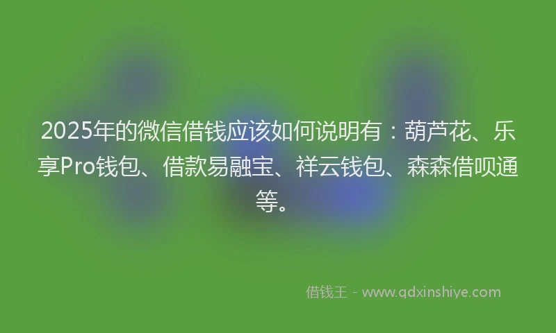2025年的微信借钱应该如何说明有：葫芦花、乐享Pro钱包、借款易融宝、祥云钱包、森森借呗通等。