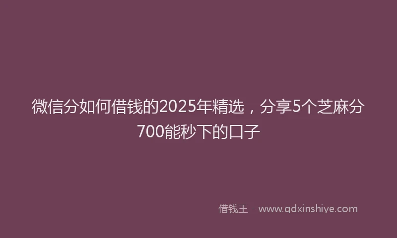 微信分如何借钱的2025年精选，分享5个芝麻分700能秒下的口子