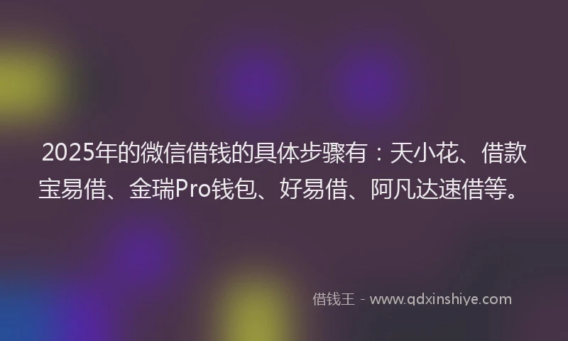 2025年的微信借钱的具体步骤有：天小花、借款宝易借、金瑞Pro钱包、好易借、阿凡达速借等。