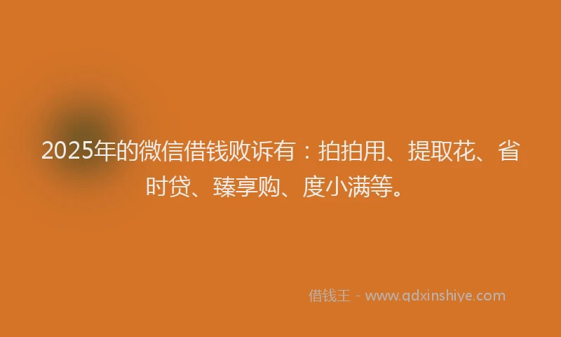 2025年的微信借钱败诉有：拍拍用、提取花、省时贷、臻享购、度小满等。