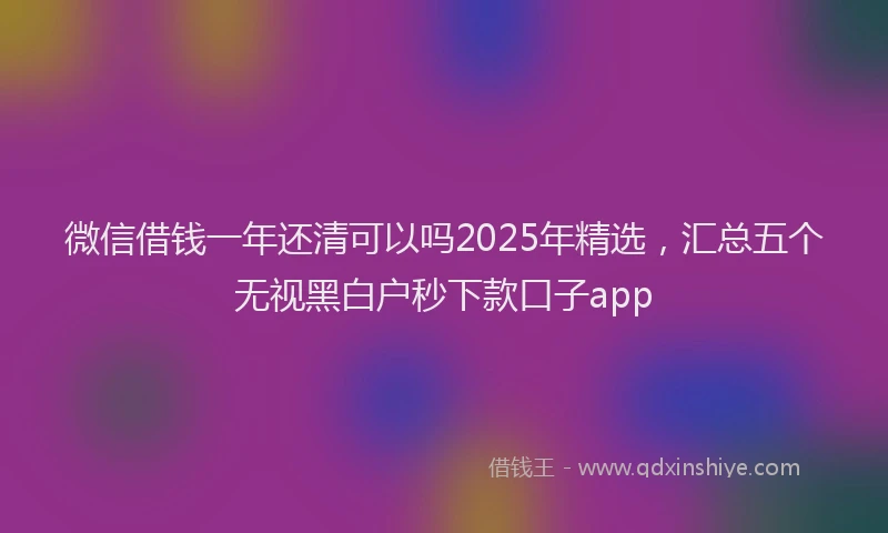 微信借钱一年还清可以吗2025年精选，汇总五个无视黑白户秒下款口子app