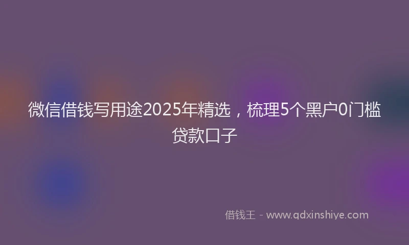 微信借钱写用途2025年精选，梳理5个黑户0门槛贷款口子