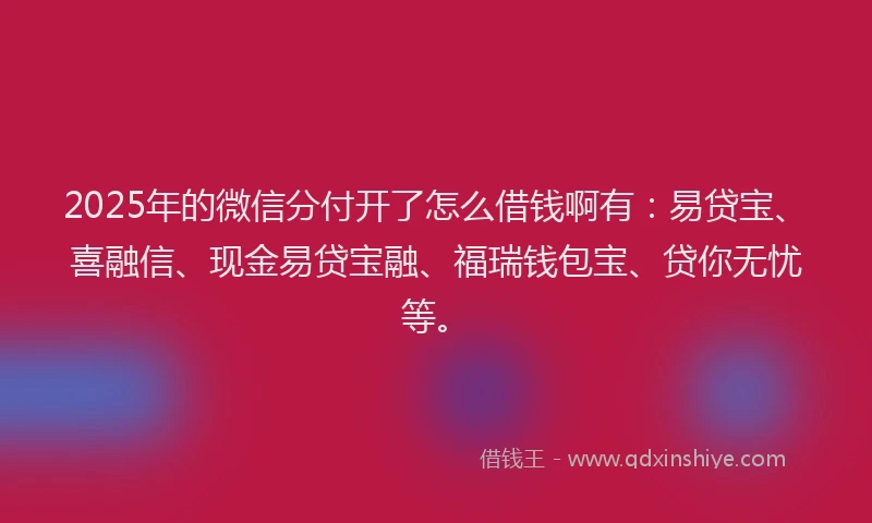 2025年的微信分付开了怎么借钱啊有：易贷宝、喜融信、现金易贷宝融、福瑞钱包宝、贷你无忧等。