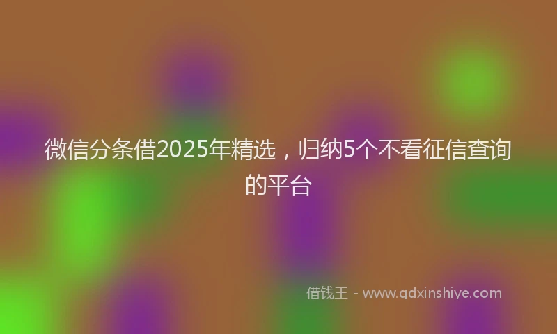 微信分条借2025年精选，归纳5个不看征信查询的平台