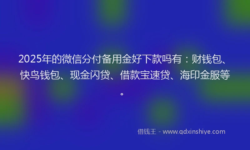 2025年的微信分付备用金好下款吗有：财钱包、快鸟钱包、现金闪贷、借款宝速贷、海印金服等。