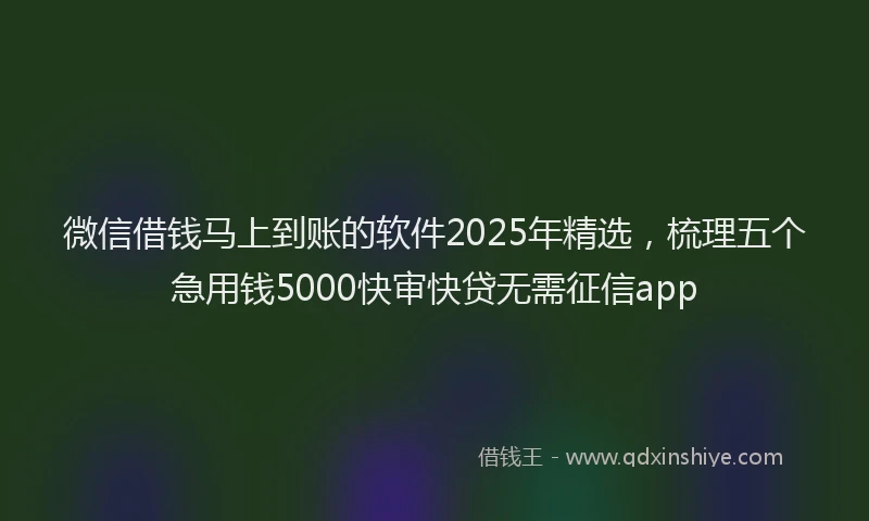微信借钱马上到账的软件2025年精选，梳理五个急用钱5000快审快贷无需征信app