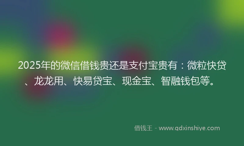 2025年的微信借钱贵还是支付宝贵有：微粒快贷、龙龙用、快易贷宝、现金宝、智融钱包等。