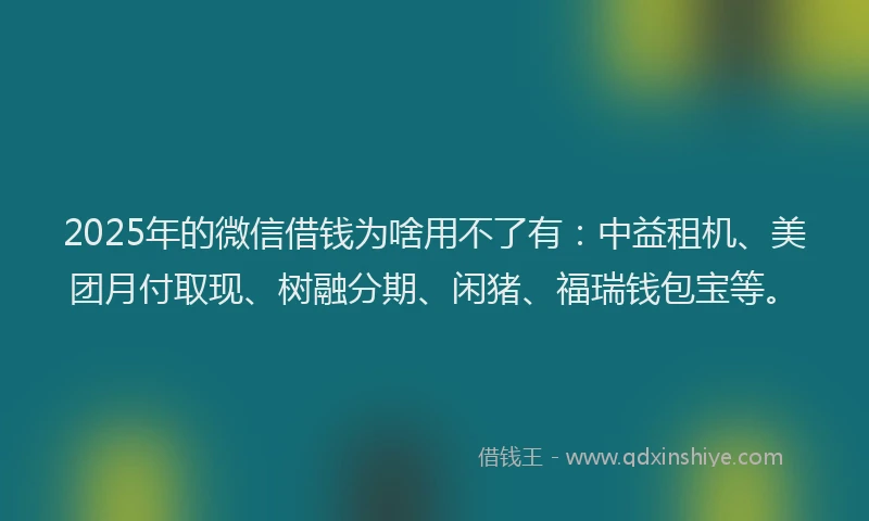 2025年的微信借钱为啥用不了有：中益租机、美团月付取现、树融分期、闲猪、福瑞钱包宝等。