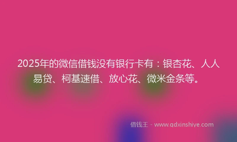 2025年的微信借钱没有银行卡有：银杏花、人人易贷、柯基速借、放心花、微米金条等。