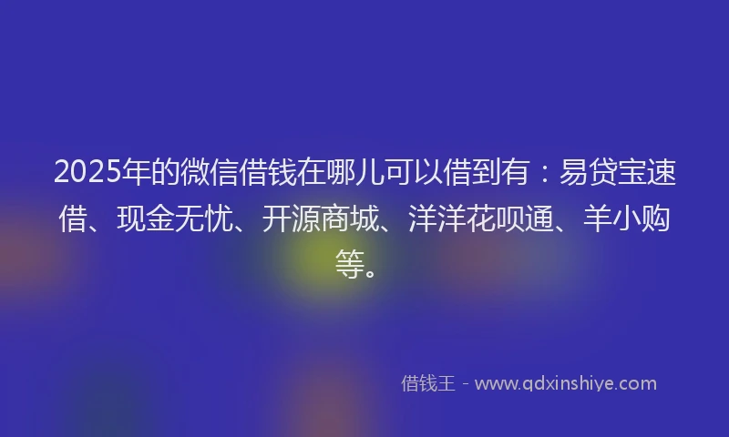 2025年的微信借钱在哪儿可以借到有：易贷宝速借、现金无忧、开源商城、洋洋花呗通、羊小购等。