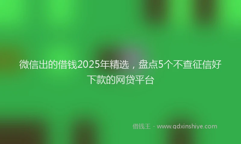 微信出的借钱2025年精选，盘点5个不查征信好下款的网贷平台