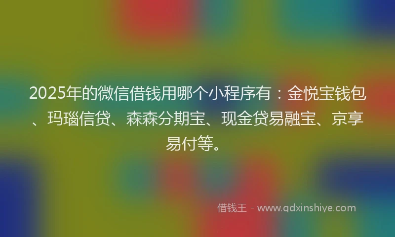 2025年的微信借钱用哪个小程序有：金悦宝钱包、玛瑙信贷、森森分期宝、现金贷易融宝、京享易付等。