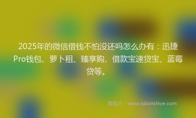 2025年的微信借钱不怕没还吗怎么办有：迅捷Pro钱包、萝卜租、臻享购、借款宝速贷宝、蓝莓贷等。