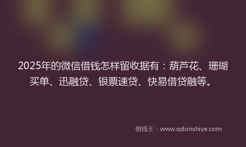 2025年的微信借钱怎样留收据有：葫芦花、珊瑚买单、迅融贷、银票速贷、快易借贷融等。