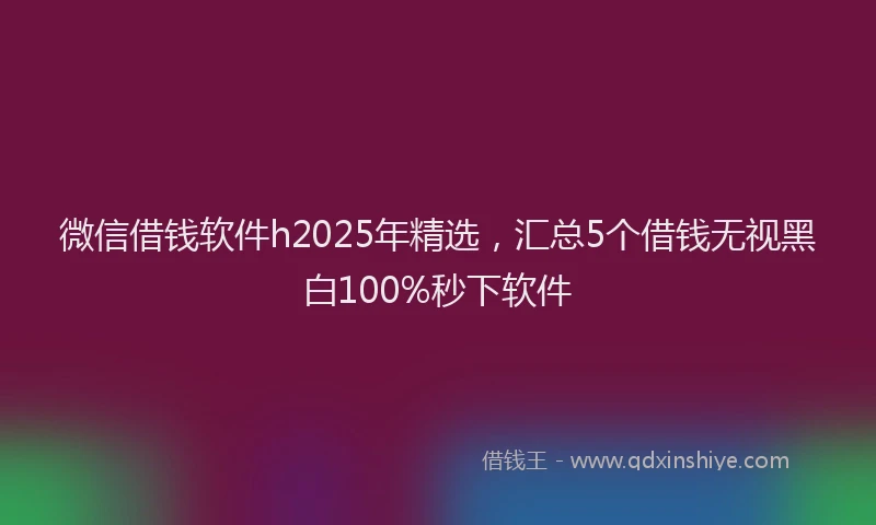 微信借钱软件h2025年精选，汇总5个借钱无视黑白100%秒下软件