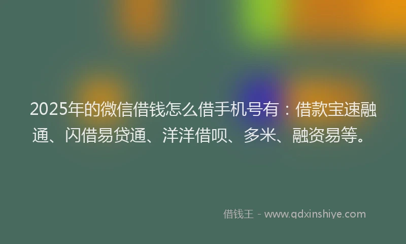 2025年的微信借钱怎么借手机号有：借款宝速融通、闪借易贷通、洋洋借呗、多米、融资易等。