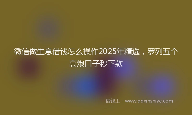 微信做生意借钱怎么操作2025年精选，罗列五个高炮口子秒下款