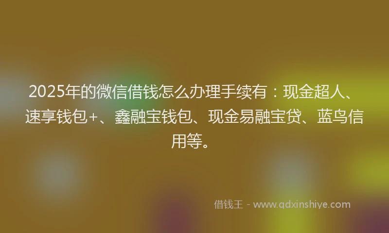 2025年的微信借钱怎么办理手续有：现金超人、速享钱包+、鑫融宝钱包、现金易融宝贷、蓝鸟信用等。