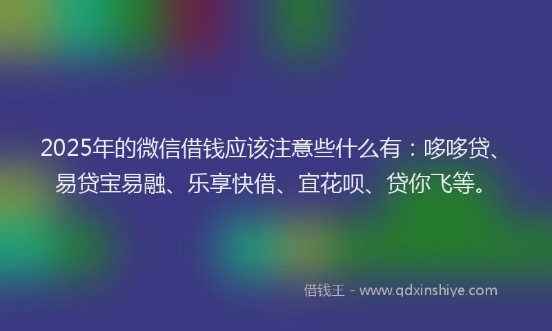 2025年的微信借钱应该注意些什么有：哆哆贷、易贷宝易融、乐享快借、宜花呗、贷你飞等。