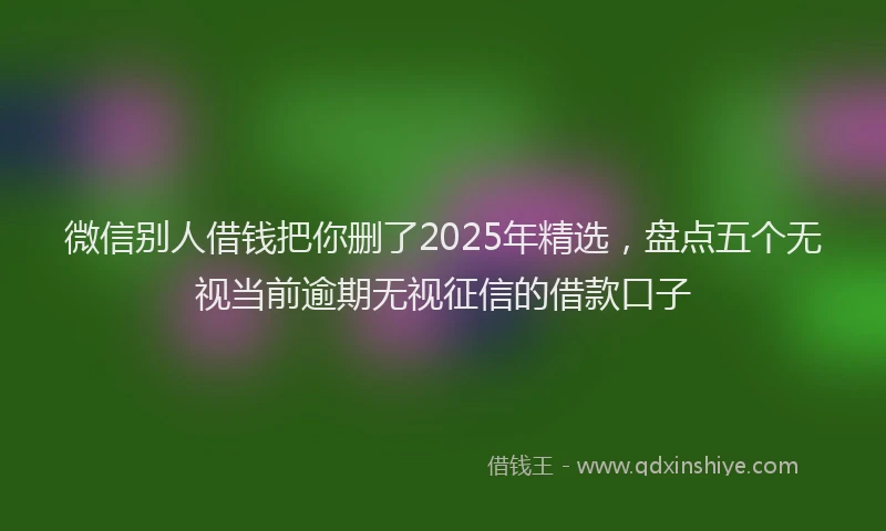 微信别人借钱把你删了2025年精选，盘点五个无视当前逾期无视征信的借款口子