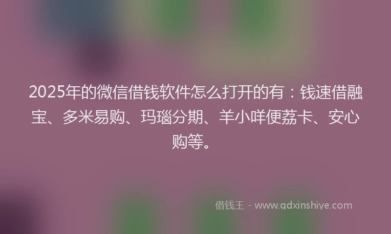 2025年的微信借钱软件怎么打开的有：钱速借融宝、多米易购、玛瑙分期、羊小咩便荔卡、安心购等。