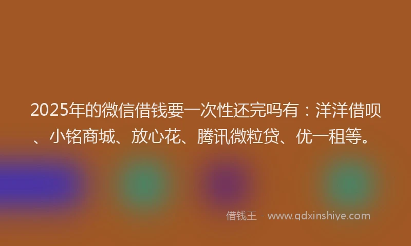 2025年的微信借钱要一次性还完吗有：洋洋借呗、小铭商城、放心花、腾讯微粒贷、优一租等。