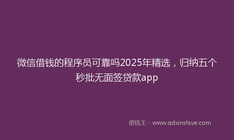 微信借钱的程序员可靠吗2025年精选，归纳五个秒批无面签贷款app