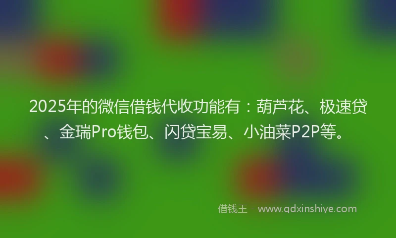 2025年的微信借钱代收功能有：葫芦花、极速贷、金瑞Pro钱包、闪贷宝易、小油菜P2P等。