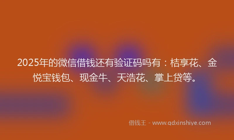 2025年的微信借钱还有验证码吗有：桔享花、金悦宝钱包、现金牛、天浩花、掌上贷等。