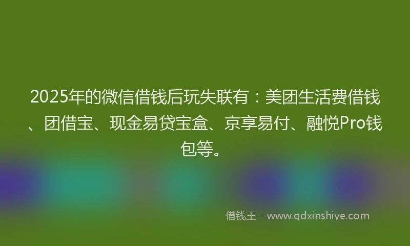 2025年的微信借钱后玩失联有：美团生活费借钱、团借宝、现金易贷宝盒、京享易付、融悦Pro钱包等。