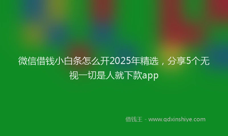 微信借钱小白条怎么开2025年精选，分享5个无视一切是人就下款app