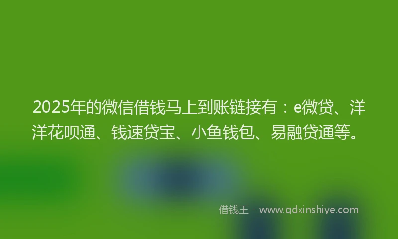 2025年的微信借钱马上到账链接有：e微贷、洋洋花呗通、钱速贷宝、小鱼钱包、易融贷通等。