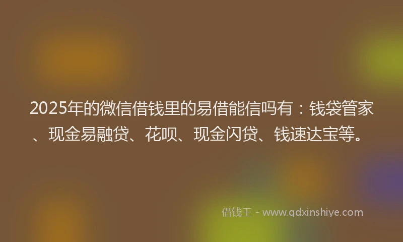 2025年的微信借钱里的易借能信吗有：钱袋管家、现金易融贷、花呗、现金闪贷、钱速达宝等。