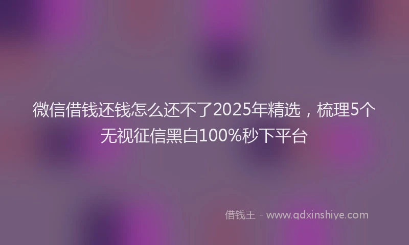 微信借钱还钱怎么还不了2025年精选，梳理5个无视征信黑白100%秒下平台