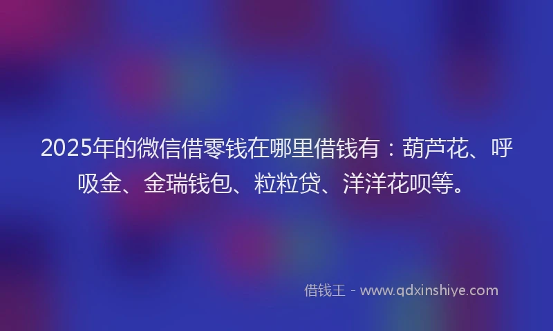 2025年的微信借零钱在哪里借钱有：葫芦花、呼吸金、金瑞钱包、粒粒贷、洋洋花呗等。