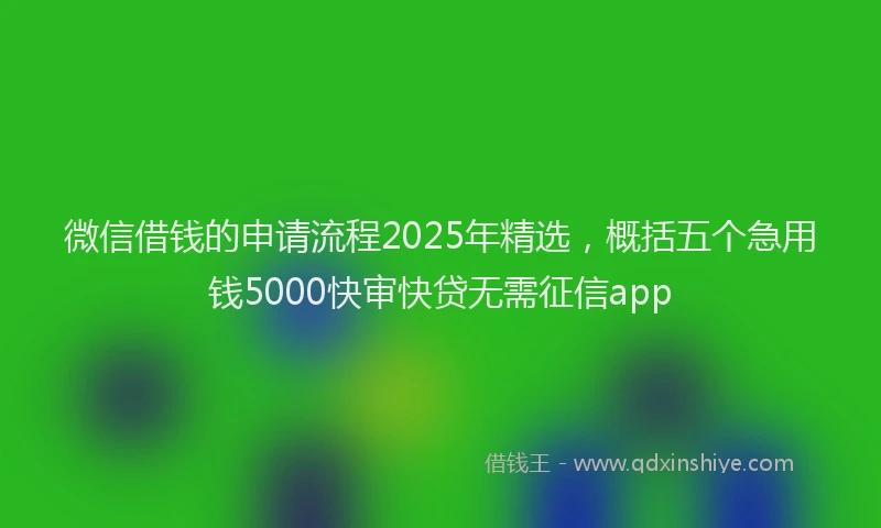 微信借钱的申请流程2025年精选，概括五个急用钱5000快审快贷无需征信app