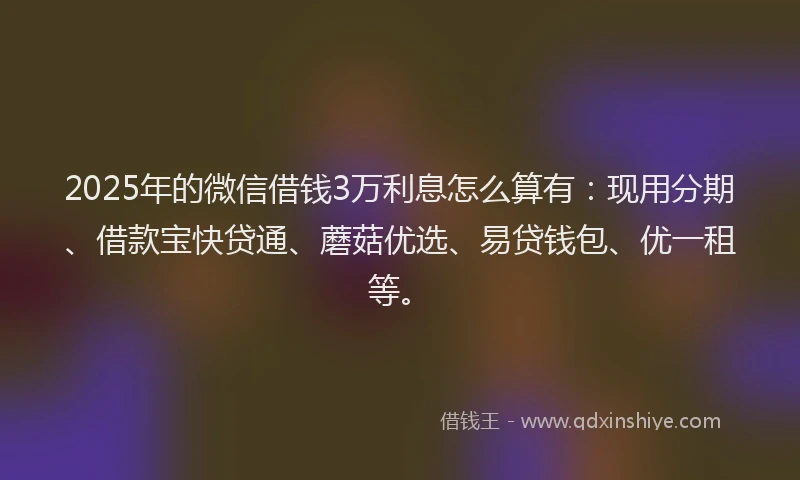 2025年的微信借钱3万利息怎么算有：现用分期、借款宝快贷通、蘑菇优选、易贷钱包、优一租等。