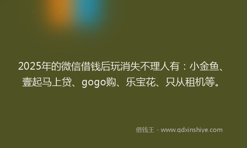 2025年的微信借钱后玩消失不理人有：小金鱼、壹起马上贷、gogo购、乐宝花、只从租机等。