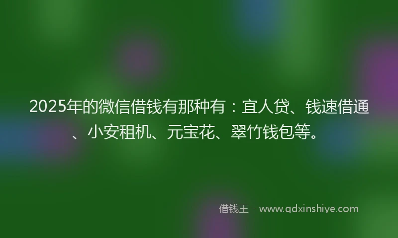 2025年的微信借钱有那种有：宜人贷、钱速借通、小安租机、元宝花、翠竹钱包等。