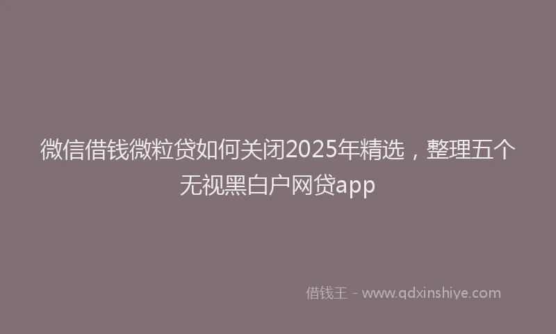 微信借钱微粒贷如何关闭2025年精选，整理五个无视黑白户网贷app