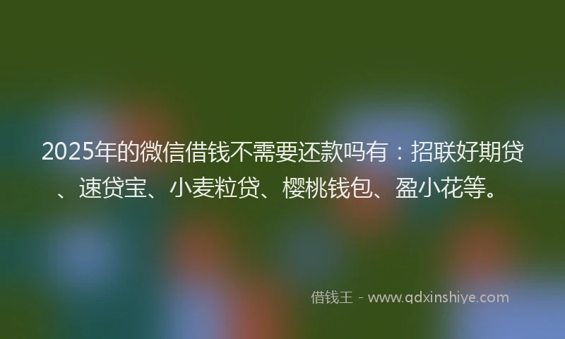 2025年的微信借钱不需要还款吗有：招联好期贷、速贷宝、小麦粒贷、樱桃钱包、盈小花等。