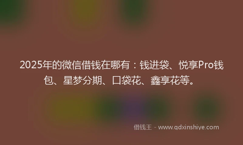 2025年的微信借钱在哪有：钱进袋、悦享Pro钱包、星梦分期、口袋花、鑫享花等。