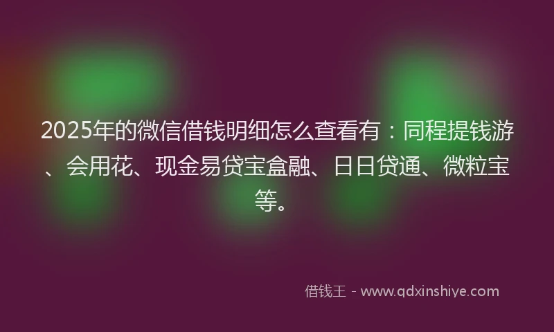 2025年的微信借钱明细怎么查看有：同程提钱游、会用花、现金易贷宝盒融、日日贷通、微粒宝等。