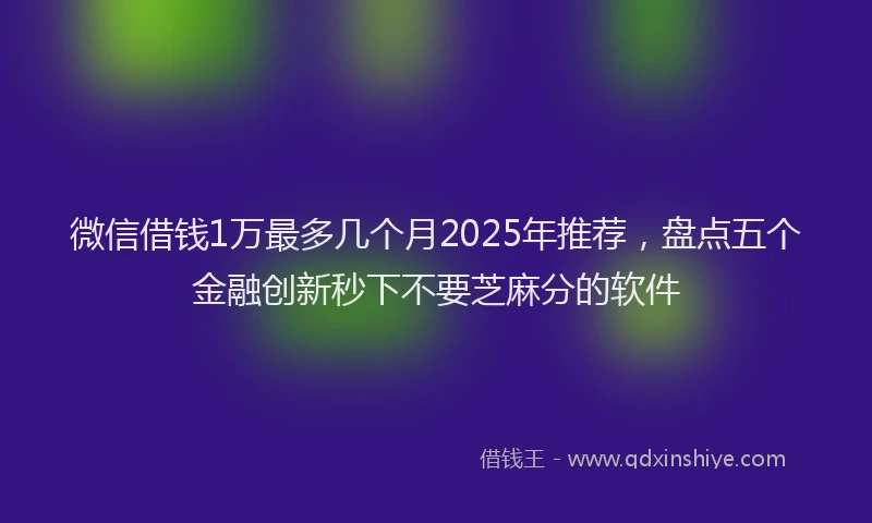 微信借钱1万最多几个月2025年推荐，盘点五个金融创新秒下不要芝麻分的软件