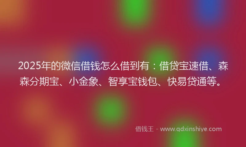 2025年的微信借钱怎么借到有：借贷宝速借、森森分期宝、小金象、智享宝钱包、快易贷通等。